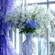 ヒメ日記 2025/02/20 08:25 投稿 ようこ 完熟ばなな 横浜