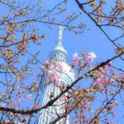 ヒメ日記 2025/03/06 08:50 投稿 ようこ 完熟ばなな 横浜