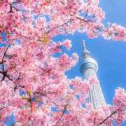 ヒメ日記 2025/03/10 08:51 投稿 ようこ 完熟ばなな 横浜