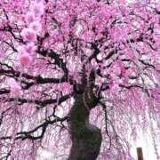 ヒメ日記 2025/03/24 10:03 投稿 ようこ 完熟ばなな 横浜