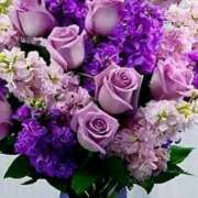 ヒメ日記 2025/05/18 09:58 投稿 ようこ 完熟ばなな 横浜