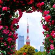 ヒメ日記 2025/05/24 10:41 投稿 ようこ 完熟ばなな 横浜