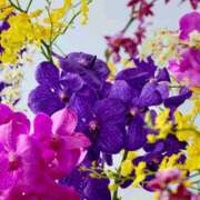 ヒメ日記 2025/08/04 07:02 投稿 ようこ 完熟ばなな 横浜