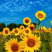 ヒメ日記 2025/08/07 09:03 投稿 ようこ 完熟ばなな 横浜