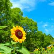 ヒメ日記 2025/08/08 08:16 投稿 ようこ 完熟ばなな 横浜