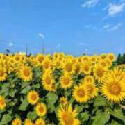 ヒメ日記 2025/08/25 11:05 投稿 ようこ 完熟ばなな 横浜