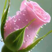 ヒメ日記 2025/12/30 09:14 投稿 ようこ 完熟ばなな 横浜