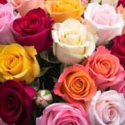 ようこ 有難う御座居ました 完熟ばなな 横浜