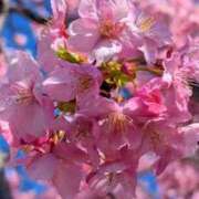 ヒメ日記 2026/02/22 10:04 投稿 ようこ 完熟ばなな 横浜