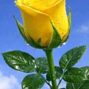 ようこ 完熟バナナ川崎店のようこです 完熟ばなな 横浜