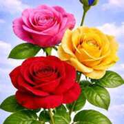 ヒメ日記 2026/04/19 10:15 投稿 ようこ 完熟ばなな 横浜