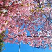 ヒメ日記 2025/03/11 12:19 投稿 とも 変態なんでも鑑定団