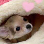 ヒメ日記 2024/12/07 14:04 投稿 朝川　ひなた NADIA京都店