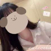 ヒメ日記 2024/12/19 14:16 投稿 朝川　ひなた NADIA京都店