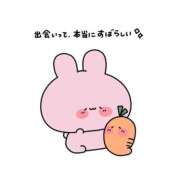 ヒメ日記 2024/12/31 21:00 投稿 朝川　ひなた NADIA京都店