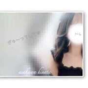 ヒメ日記 2025/11/15 08:30 投稿 朝川　ひなた NADIA京都店