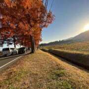 ヒメ日記 2025/12/04 20:01 投稿 朝川　ひなた NADIA京都店