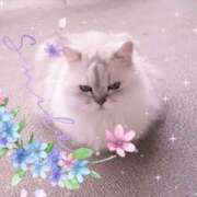 ヒメ日記 2025/04/05 14:20 投稿 せりか 熟女の風俗最終章 蒲田店