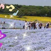 ヒメ日記 2025/04/30 21:20 投稿 せりか 熟女の風俗最終章 蒲田店