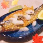 ヒメ日記 2025/09/11 08:40 投稿 せりか 熟女の風俗最終章 蒲田店