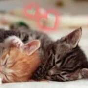 ヒメ日記 2025/12/11 07:20 投稿 せりか 熟女の風俗最終章 蒲田店