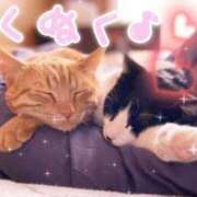 ヒメ日記 2026/02/25 23:50 投稿 せりか 熟女の風俗最終章 蒲田店