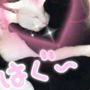 ヒメ日記 2026/03/22 17:00 投稿 せりか 熟女の風俗最終章 蒲田店