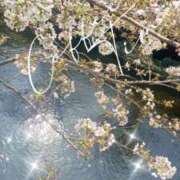 ヒメ日記 2026/03/25 18:20 投稿 せりか 熟女の風俗最終章 蒲田店