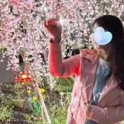 ヒメ日記 2026/03/27 21:30 投稿 せりか 熟女の風俗最終章 蒲田店