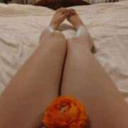 ヒメ日記 2026/03/24 20:06 投稿 よしの 厚木人妻城