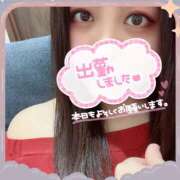 ひかり ひかり（clubさくら日本橋店） club さくら日本橋店