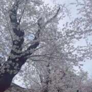 ヒメ日記 2026/05/08 13:40 投稿 乙姫 櫻女学院