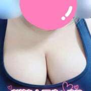 ヒメ日記 2025/02/20 18:30 投稿 こむぎ 兵庫姫路・加古川ちゃんこ