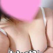 ヒメ日記 2025/09/06 09:01 投稿 こむぎ 兵庫姫路・加古川ちゃんこ