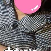 ヒメ日記 2025/10/11 02:04 投稿 こむぎ 兵庫姫路・加古川ちゃんこ