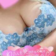 ヒメ日記 2025/11/01 15:56 投稿 こむぎ 兵庫姫路・加古川ちゃんこ