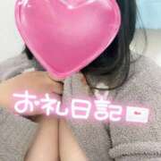 ヒメ日記 2025/11/09 01:07 投稿 こむぎ 兵庫姫路・加古川ちゃんこ