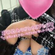 ヒメ日記 2025/11/17 10:00 投稿 こむぎ 兵庫姫路・加古川ちゃんこ