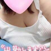 ヒメ日記 2025/11/22 14:02 投稿 こむぎ 兵庫姫路・加古川ちゃんこ