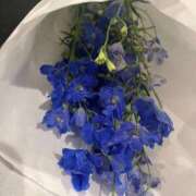 ヒメ日記 2025/10/04 16:54 投稿 しほ たっぷりHoneyoilSPA福岡中洲店