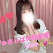 ヒメ日記 2025/03/22 12:05 投稿 朝倉　ゆめ 現役ナースが精液採取に伺います 梅田店