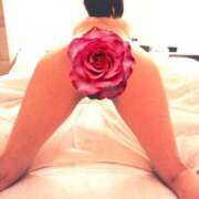 ヒメ日記 2025/02/08 18:10 投稿 花沢るる(はなざわるる) ロケットワイフ