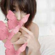 ヒメ日記 2025/04/14 16:11 投稿 花沢るる(はなざわるる) ロケットワイフ