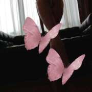 ヒメ日記 2026/01/31 18:55 投稿 花沢るる(はなざわるる) ロケットワイフ