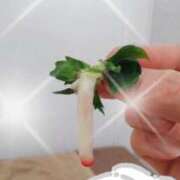 ヒメ日記 2026/03/31 18:48 投稿 花沢るる(はなざわるる) ロケットワイフ