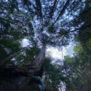 ヒメ日記 2025/04/16 17:50 投稿 ななみPLATINUM SWITCH（スイッチ）新宿店