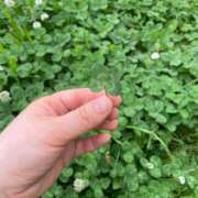 ヒメ日記 2025/05/22 16:40 投稿 ななみPLATINUM SWITCH（スイッチ）新宿店