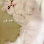 ヒメ日記 2025/07/02 17:09 投稿 ななみPLATINUM SWITCH（スイッチ）新宿店