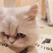 ヒメ日記 2025/07/11 11:42 投稿 ななみPLATINUM SWITCH（スイッチ）新宿店