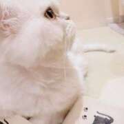 ヒメ日記 2025/07/15 06:09 投稿 ななみPLATINUM SWITCH（スイッチ）新宿店